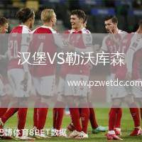 汉堡VS勒沃库森