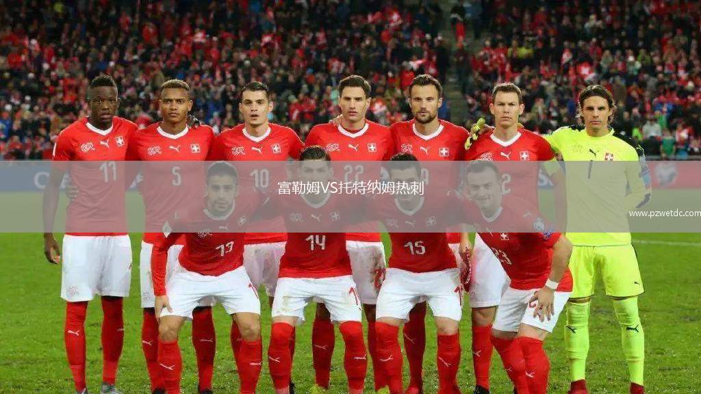 富勒姆VS托特纳姆热刺