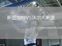 斯图加特VS沃尔夫斯堡