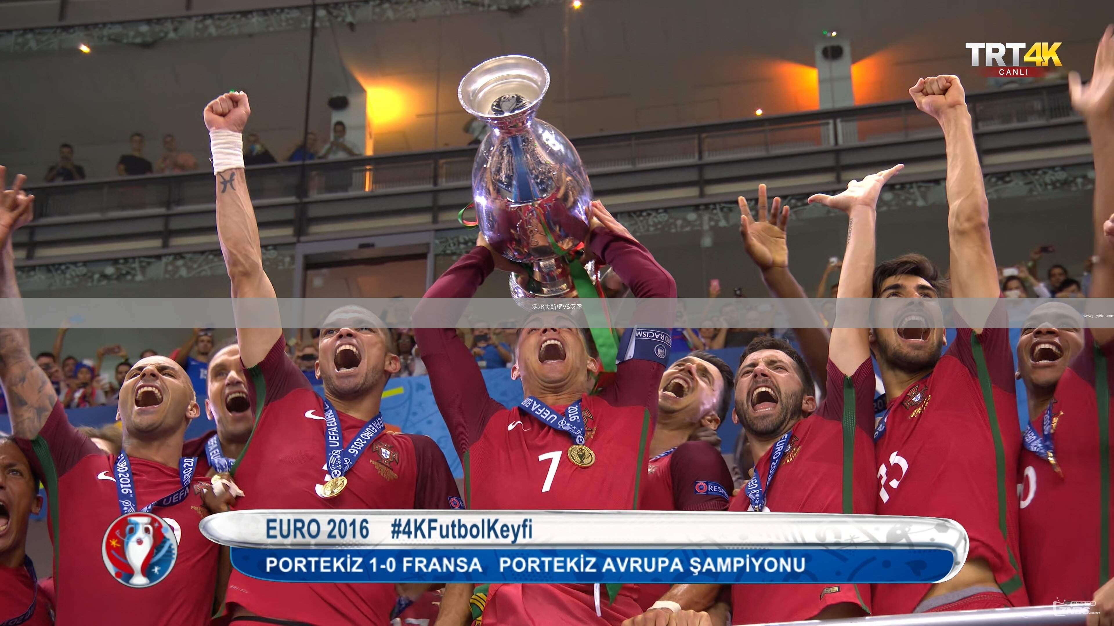 沃尔夫斯堡VS汉堡