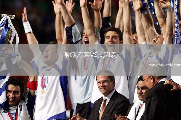 勒沃库森VS美因茨