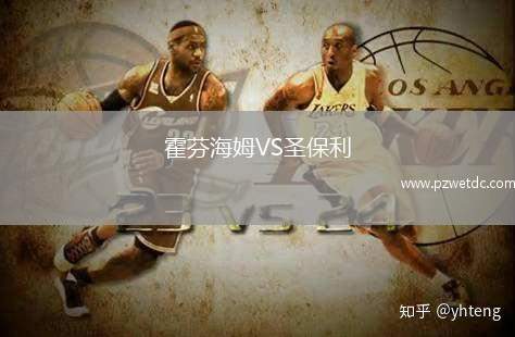 霍芬海姆VS圣保利