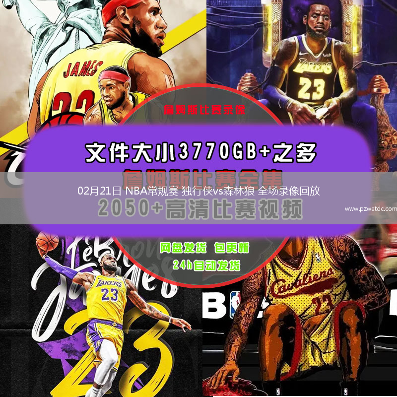 02月21日 NBA常规赛 独行侠vs森林狼 全场录像回放